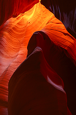 Abstract named Lady in Red, orange slot canyon wall, Antelope Canyon X, Page, Arizona, USA