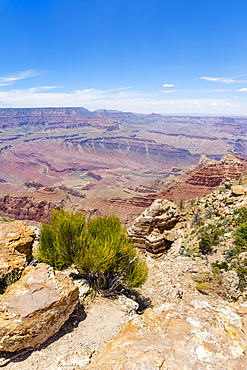 Grand Canyon, Lipan Point, Grand Canyon National Park, UNESCO World Heritage Site, Arizona, United States of America, North America