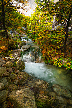 Small cascade in forest, Valle Frances (Valle del Frances), Torres del Paine National Park, Patagonia, Chile, South America