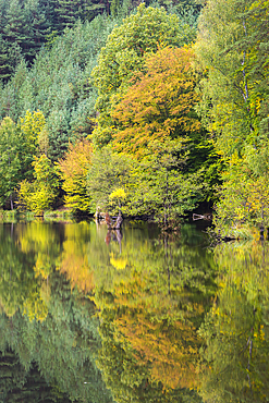 Idyllic shot of Kacirek pond during autumn, Kokorinsko, Central Bohemia, Czech Republic (Czechia), Europe