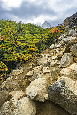 Hiking path leading to Britanico viewpoint, French Valley, Torres del Paine National Park, Patagonia, Chile, South America