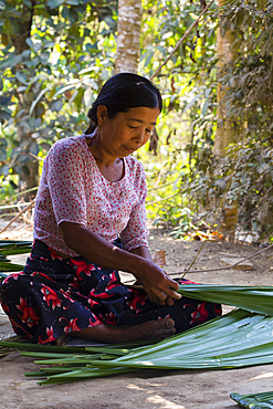 Burmese woman sitting on ground and weaving palm leaves to make a cover for roof, Chaung Tha, Myanmar (Burma), Asia