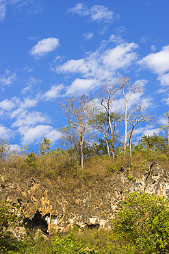 Limestone rocks and trees in countryside near Hsipaw, Shan State, Myanmar (Burma), Asia