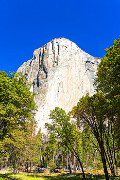 El Capitan granite rock formation, Yosemite National Park, California, USA