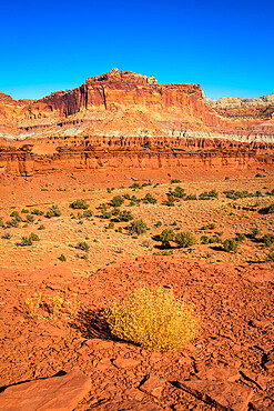 Whiskey Flat rock formation on sunny day, Capitol Reef National Park, Utah, Western United States, USA