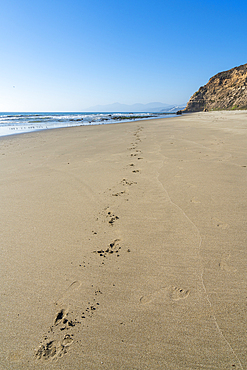 Footprints in sand at Quirilluca beach, Puchuncavi, Valparaiso Province, Valparaiso Region, Chile, South America