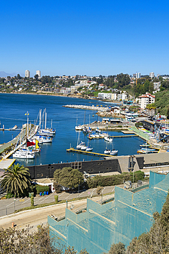 Elevated view of boats at Caleta Higuerillas, Concon, Valparaiso Province, Valparaiso Region, Chile, South America