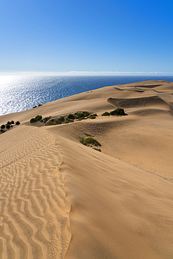 Sand dunes, Concon, Valparaiso Province, Valparaiso Region, Chile, South America