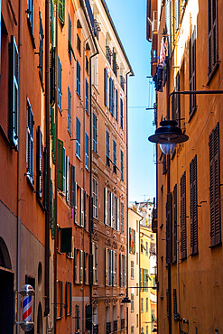 Houses in a caruggio in the historic center, Genoa, Liguria, Italy, Europe