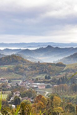 Hills and vineyards of the Langhe (UNESCO Heritage) in an autumn day. Alba, Langhe, Cuneo district, Piedmont, Italy.