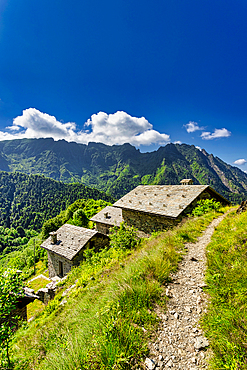 The bucolic landscape of Val Mastellone in summer, Rimella, Valsesia, Vercelli district, Piedmont, Italy, Europe