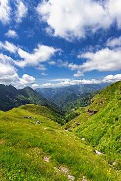 The bucolic landscape of Val Mastellone in summer, Rimella, Valsesia, Vercelli district, Piedmont, Italy, Europe