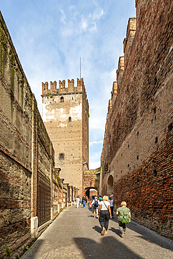 Castelvecchio castle, Verona, Verona district, Veneto, Italy, Europe
