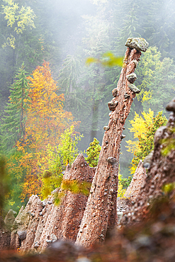 The Earth Pyramids in autumn, Longomoso, Renon (Ritten), Bolzano, South Tyrol, Italy, Europe