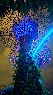 Gardens By The Bay light show, Singapore