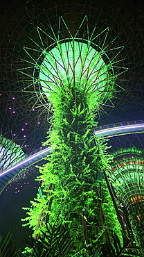Lightshow, The Gardens by the Bay, Singapore