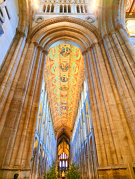 Ely Cathedral interior, Ely, Cambridgeshire, England, UK