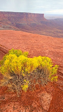 Canyonlands National Park, Utah, USA