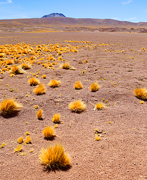 Atacama Desert Plateau, Chile, South America