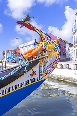 Europe, Portugal, Aveiro. April 12, 2022. Brightly painted moliceiros, traditional flat bottomed wooden boats, on the Central Canal in Aveiro.