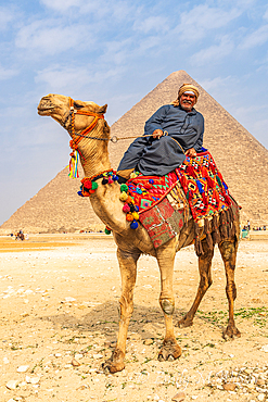 Giza, Cairo, Egypt. February 18, 2022. Man reclining on a camel with deocrated blanket and halter at the Great Pyramid complex in Giza.