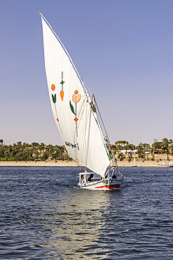 Luxor, Egypt. February 24, 2022. Felucca carrying tourists on the Nile River.