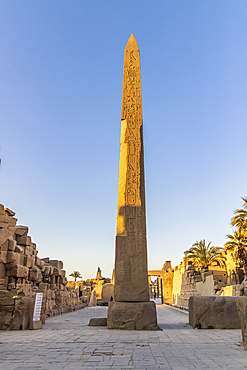 Karnak, Luxor, Egypt. Obelisk at the Karnak Temple complex in Luxor.