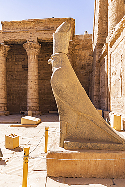 Edfu, Aswan, Egypt. Statue of the falcon god Horus at the Temple of Horus at Edfu.