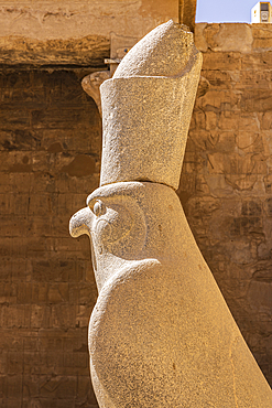 Edfu, Aswan, Egypt. Statue of the falcon god Horus at the Temple of Horus at Edfu.