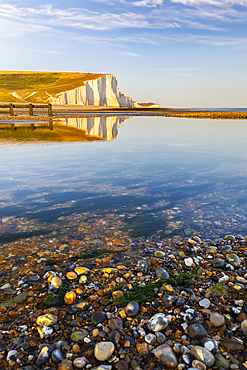 Seven Sisters chalk cliffs at sunset, South Downs National Park, East Sussex, England, United Kingdom, Europe