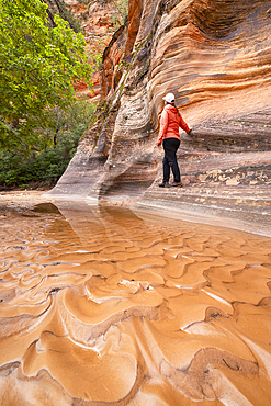 A girl admiring the beautiful rock formations in Zion National Park during a summer day, Utah, United States of America, North America