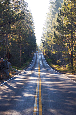 a car drive through the road in Yosemite National Park, California, United States of America