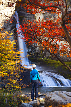 A tourist observes Chorrillo del Salto waterfall framed by autumn trees, El Chalten, Parque Nacional Los Glaciares, Santa Cruz, Patagonia Argentina, Argentina, South America