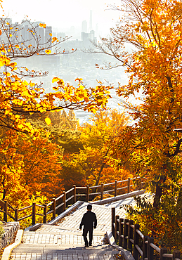 A tourist gazes at Seoul's skyline from Namsan Mountain, Seoul, South Korea, Asia