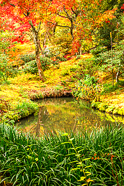 'Small pond surrounded by vibrant autumn colors and lush greenery at Tenryū-ji Temple, Kyoto, Japan