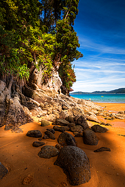Tall Cliffs and Golden Sand in Narrow Coastal Passage, Abel Tasman National Park, New Zealand