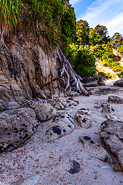 Narrow Rocky Inlet with Overhanging Trees and Low Tide Pool, Coastal Trail in Abel Tasman, New Zealand