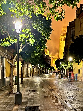 View of the Cathedral of Saint Mary of the See (Seville Cathedral) at night, a Roman Catholic cathedral in Seville, one of the largest churches in the world as well as the largest Gothic church, highlighting the Giralda, the bell tower of the cathedral.