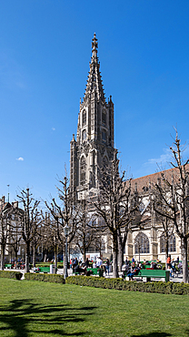 View of Bern Minster, a Swiss Reformed cathedral, built in the Gothic style, the tallest cathedral in Switzerland, Old City, UNESCO World Heritage Site, Bern, Switzerland, Europe