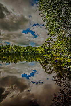 High Dam, Finsthwaite, English Lake District, Furness Peninsula, Cumbria, UK. Reflections across High Dam.