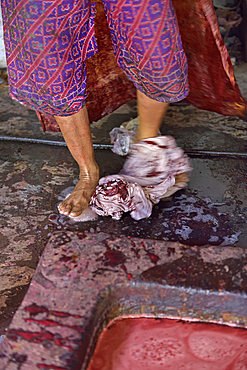 feet fulling of cloth in the dyeing process, Kidang Mas Batik House, Lasem, Java island, Indonesia, Southeast Asia