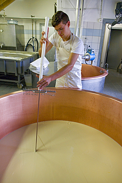 Cheese factory, cattle farm of Pian Segno, Blenio valley, Canton Ticino, Switzerland