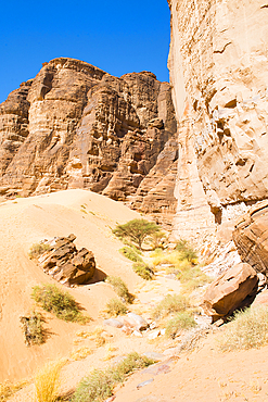 Sharaan Nature Reserve, AlUla, Medina Province, Saudi Arabia, Middle East