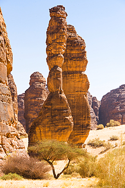 Extraordinary sandstone rock structure called 'Dancing Rocks' in the Sharaan Nature Reserve, AlUla, Medina Province, Saudi Arabia, Middle East