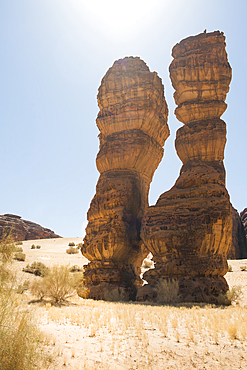 Extraordinary sandstone rock structure called 'Dancing Rocks' in the Sharaan Nature Reserve, AlUla, Medina Province, Saudi Arabia, Middle East