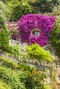 Positano, Amalfi Coast, UNESCO World Heritage Site, Province of Salerno, Campania region, Italy, Europe