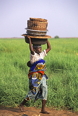 Woman walking carrying basket on her head, Mono River bank in Grand-Popo area, Benin,Gulf of Guinea,West Africa
