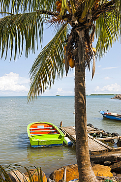 Sainte-Rose, Basse-Terre, Guadeloupe, overseas region of France,Leewards Islands, Lesser Antilles, Caribbean