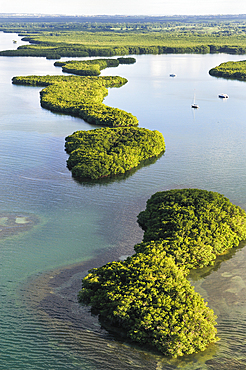 Aerial view of mangrove swamp, Grand Cul-de-sac Marin, Sainte-Rose, Basse-Terre, Guadeloupe, overseas region of France,Leewards Islands, Lesser Antilles, Caribbean