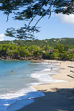 Leroux beach, between Deshaies and Pointe-Noire, Basse-Terre, Guadeloupe, overseas region of France,Leewards Islands, Lesser Antilles, Caribbean